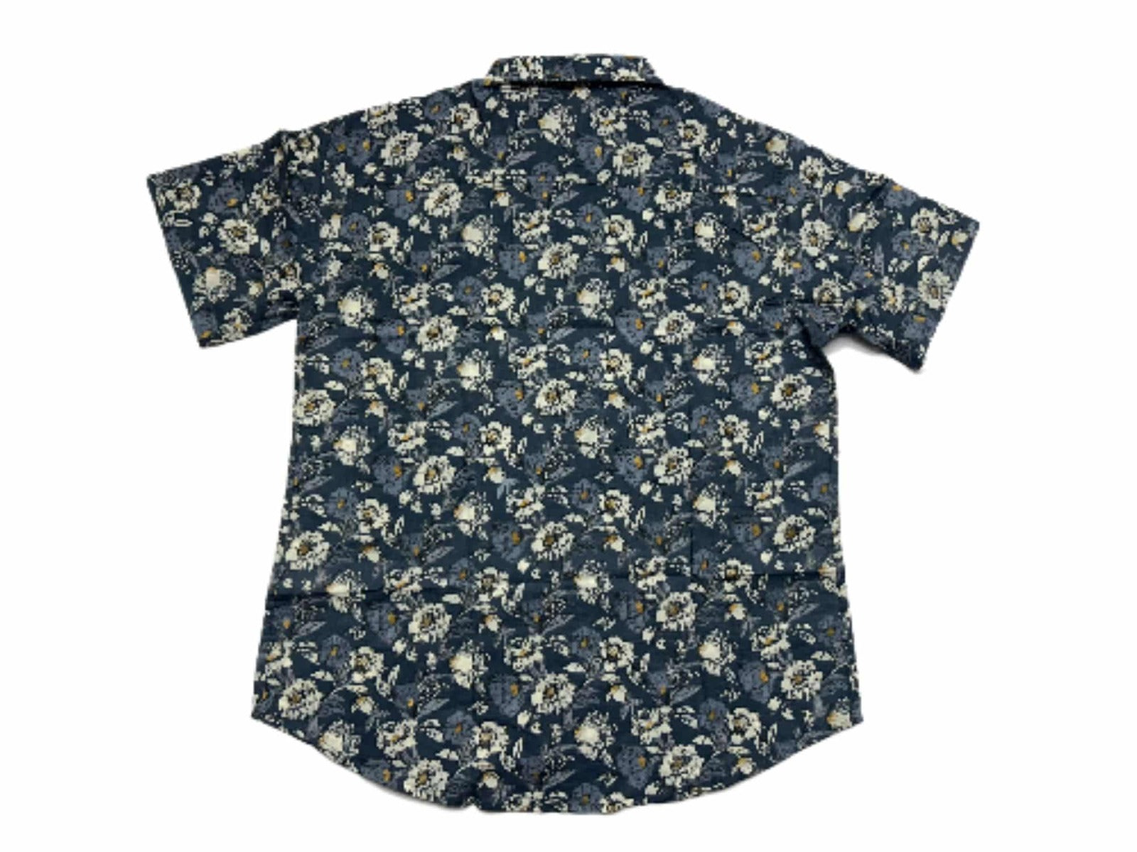 IMG_3473-fotor-bg-remover-2025061022430