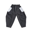 Architect Pants